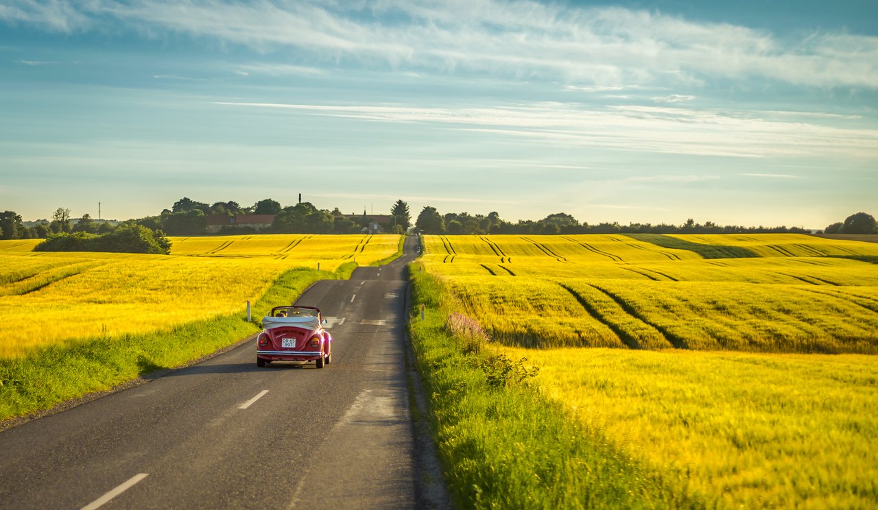 Yellow Field | Aarhus
